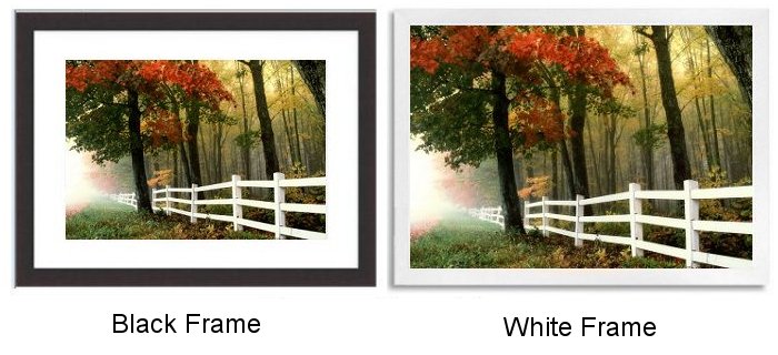 Select Your Frame Select Your Frame